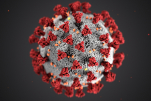 Handgel tegen corona virus
