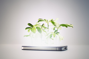 Digitale detox